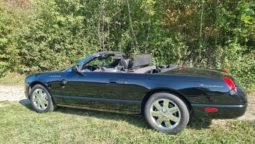 Ford Thunderbird