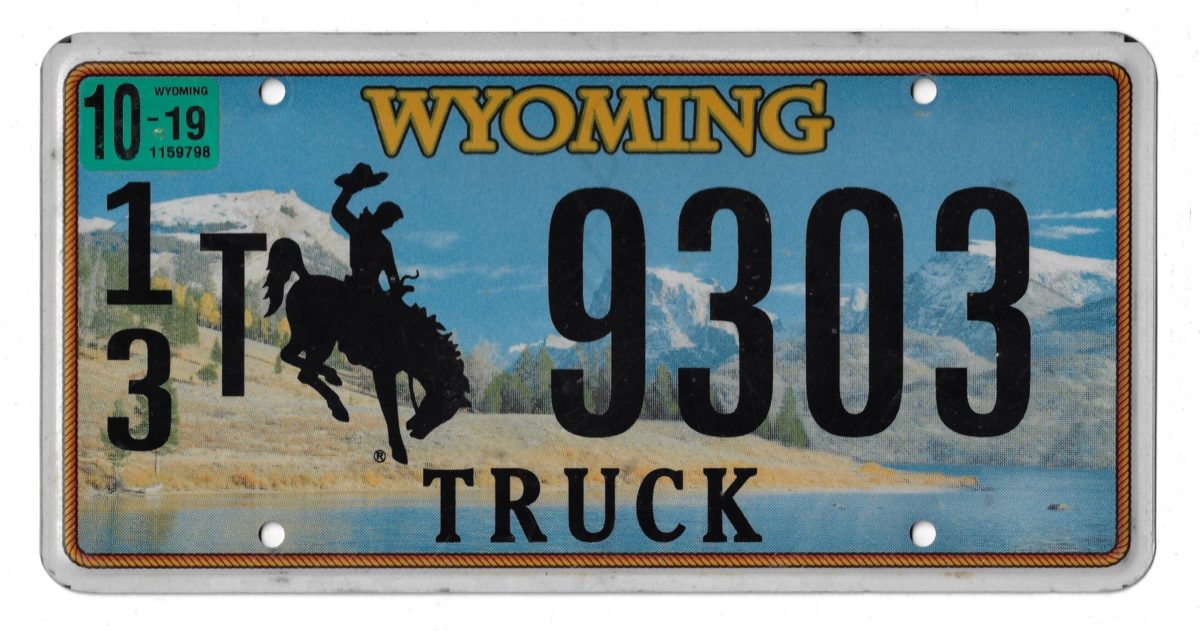 2019 WYOMING 13T9303