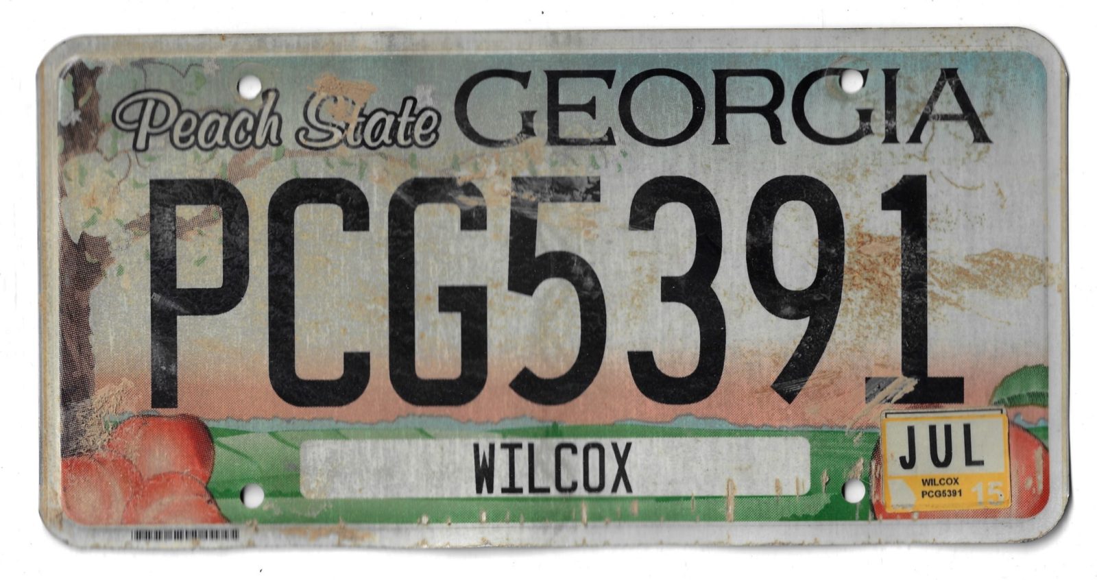 GEORGIA PCG5391