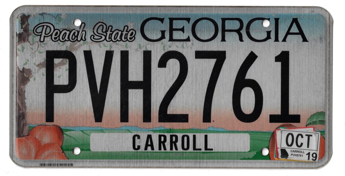 2019 GEORGIA PVH2761