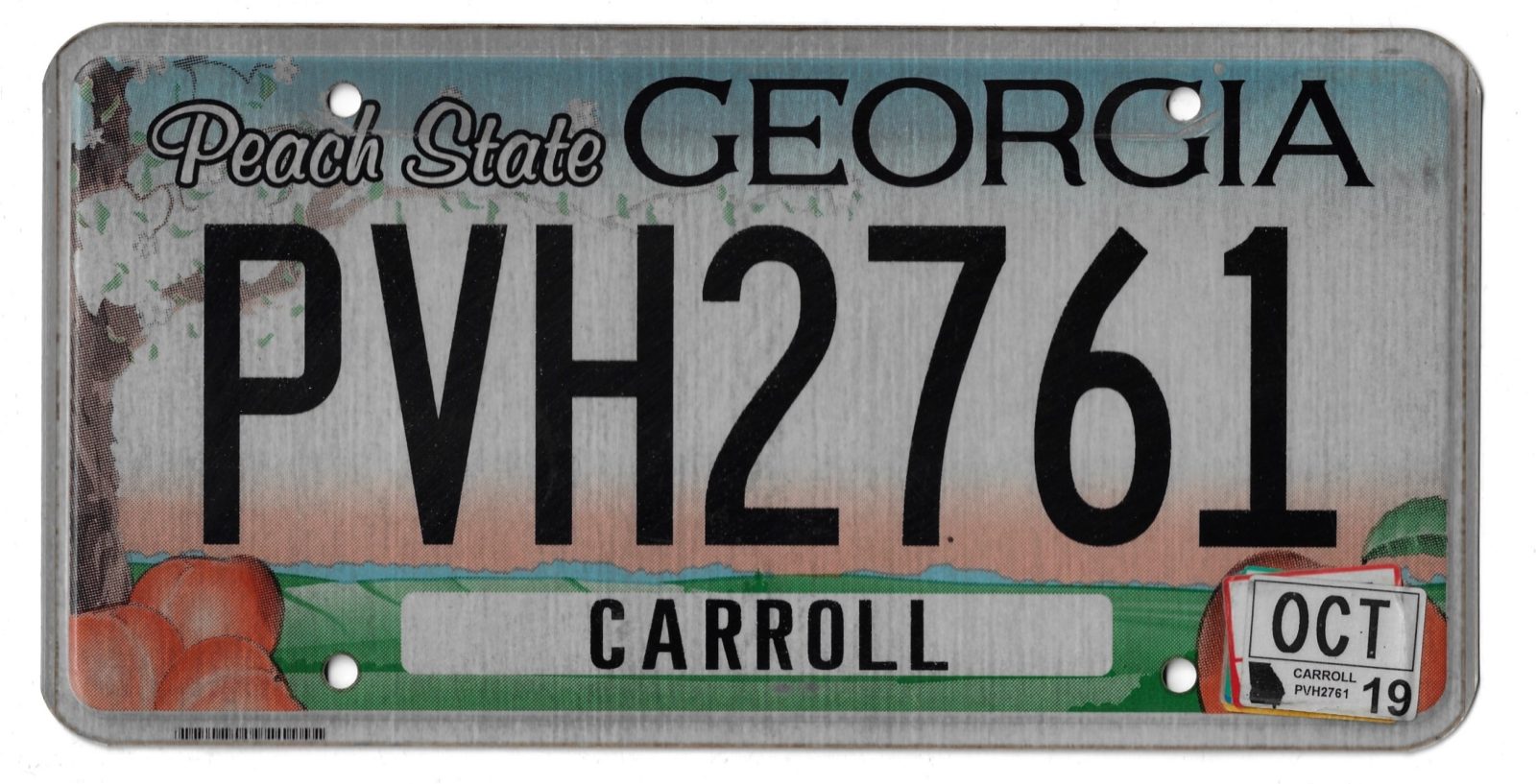 2019 GEORGIA PVH2761