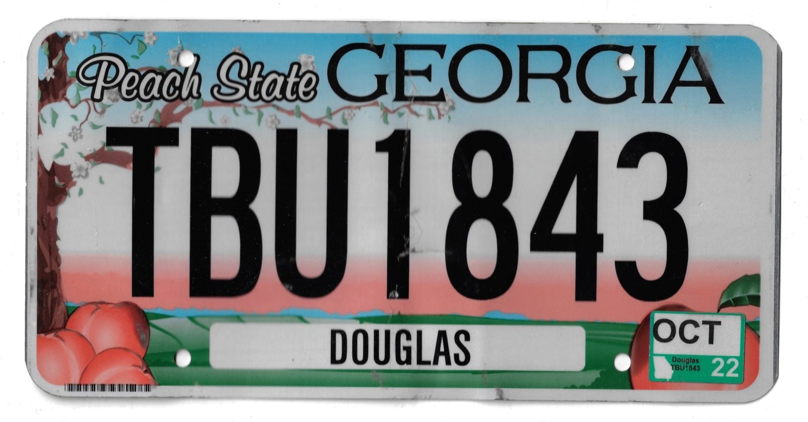2022 GEORGIA TBU1843