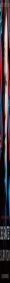 DESIGNATED SURVIVOR