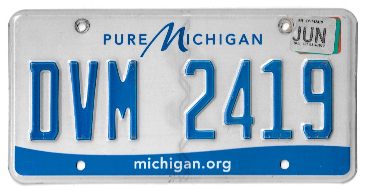 MICHIGAN DVM 2419