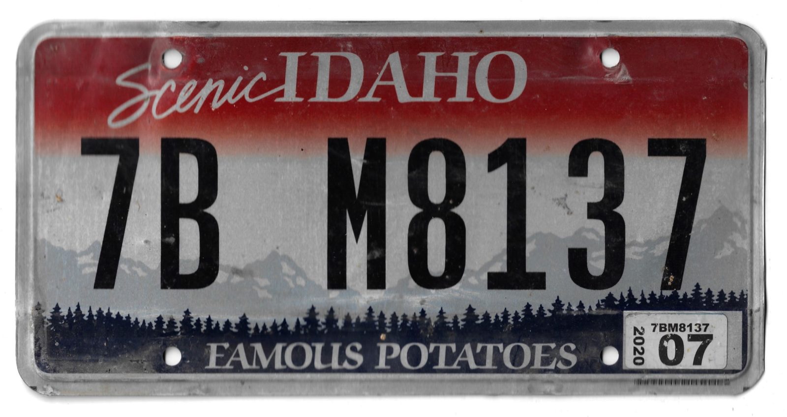 SCENIC IDAHO 7B M8137
