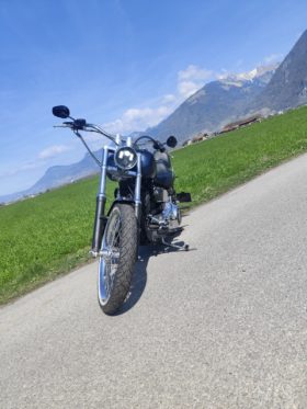 Occasion Chopper Harley Davidson Softail 23200 2006 52 1584 Essence Manuelle