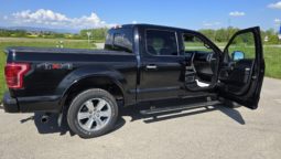Ford F-150 3.5 Ecoboost Platinum