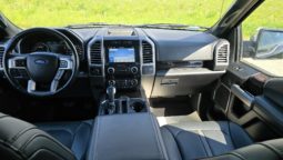 Ford F-150 3.5 Ecoboost Platinum