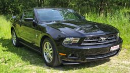 Ford Mustang 2010 122500 4009 213 Automatique Occasion Essence Coupé