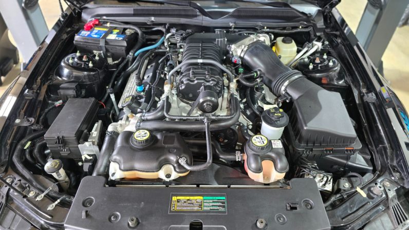Ford Mustang 2010 24500 5410 506 Manuelle Occasion Essence Cabriolet